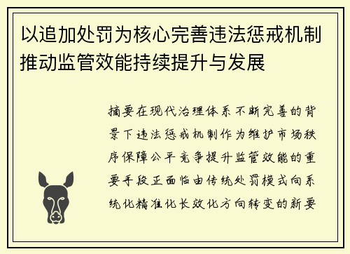 以追加处罚为核心完善违法惩戒机制推动监管效能持续提升与发展